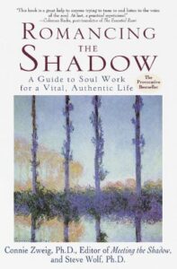 Romancing the Shadow book